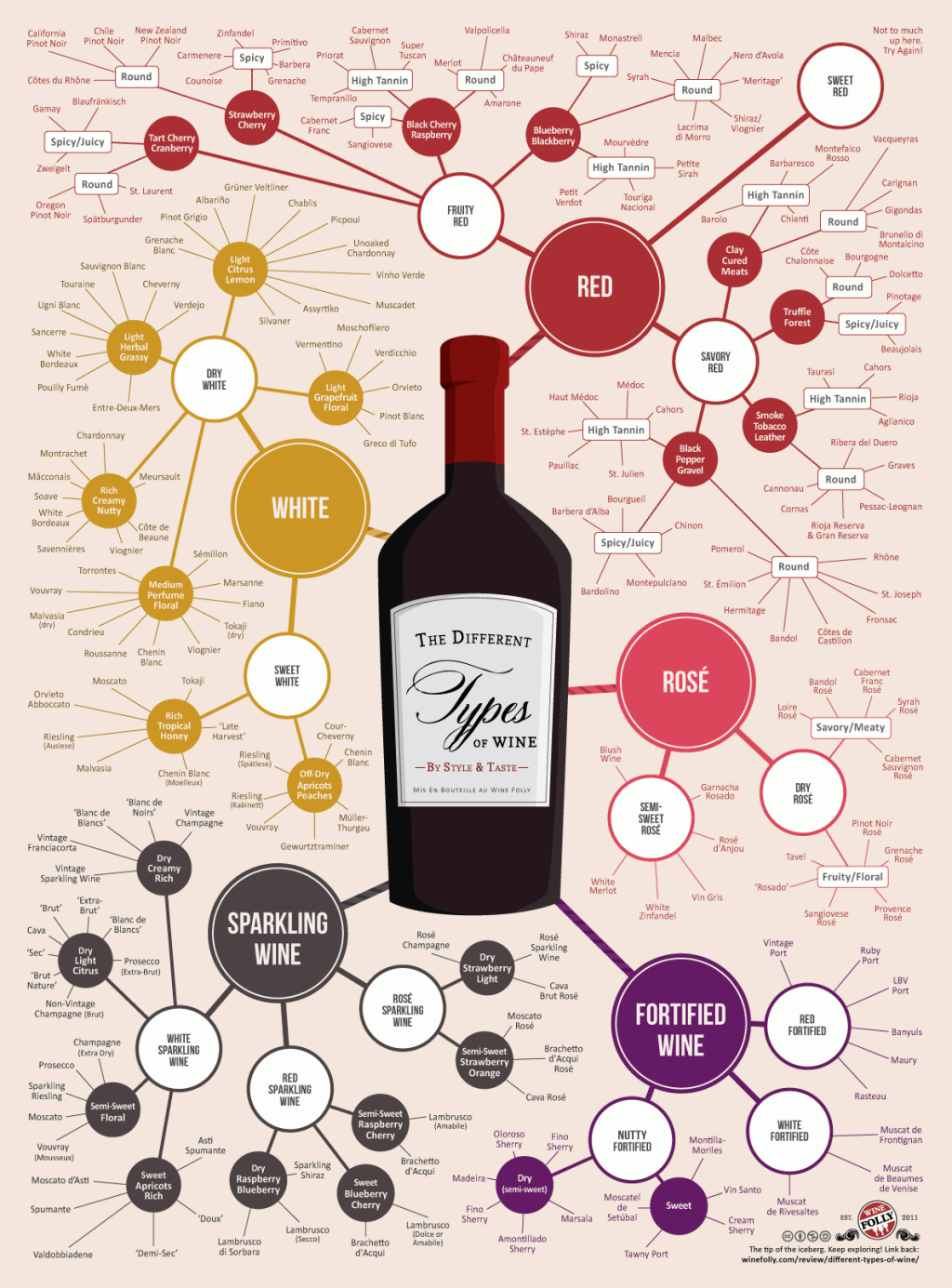 Different-Types-of-Wine-Infographic-Chart2