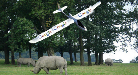 GoogleWWF