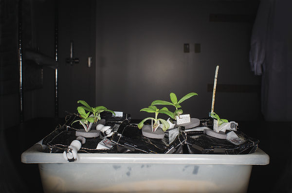 Mars-Farming-055-copy-2