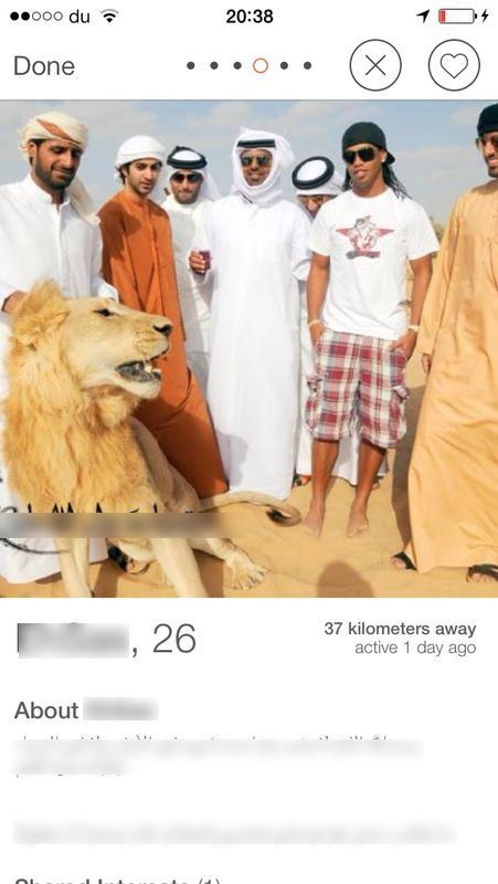 lion_desert_blue