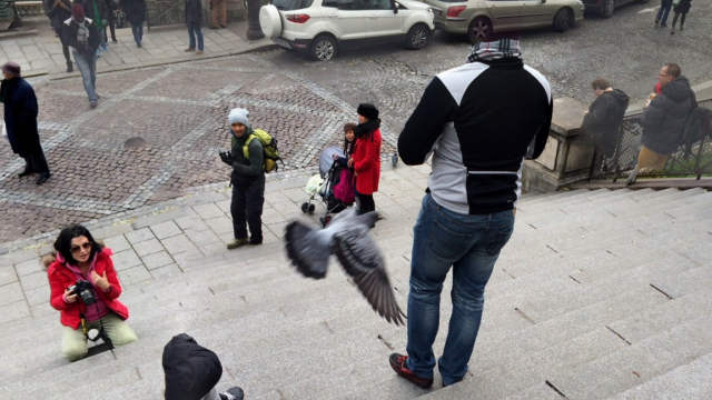 headless-man-hit-by-pigeon-julian-hoffbauer