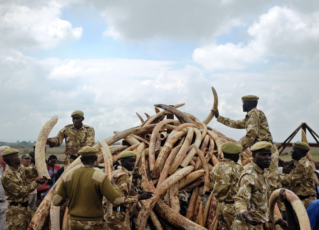 TOPSHOT-KENYA-CONSERVATION-ANIMALS-IVORY