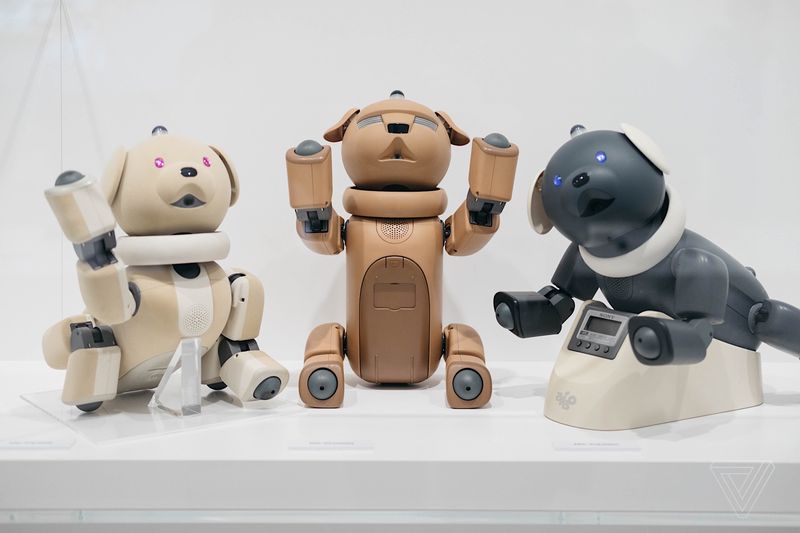 aibo