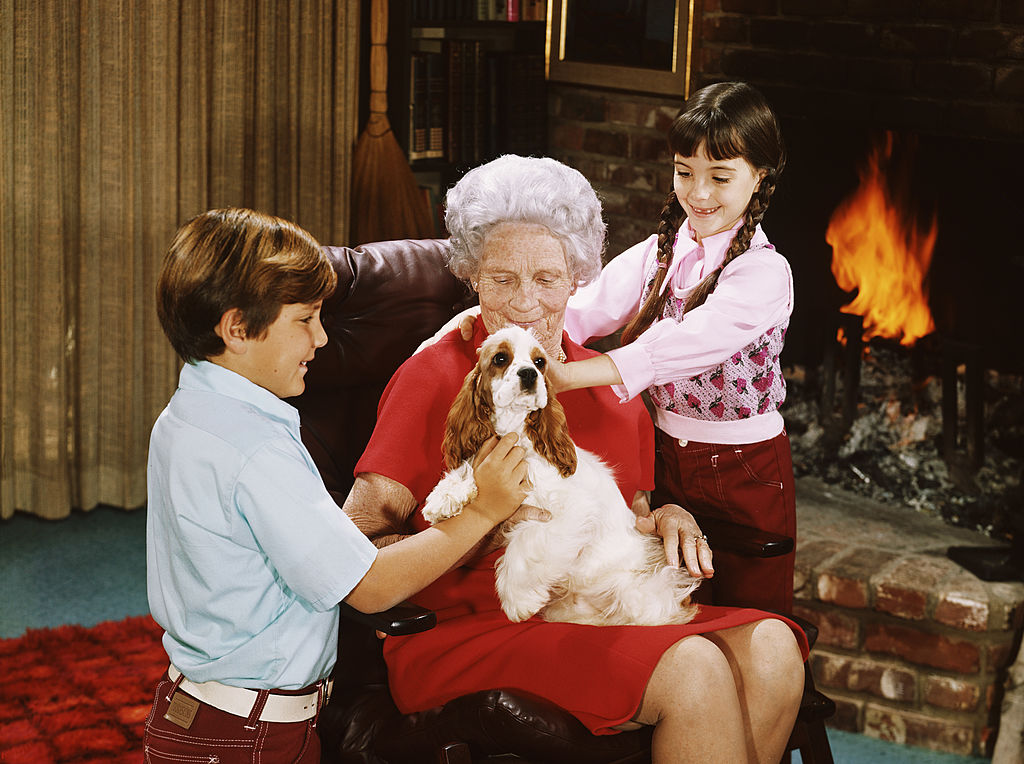 Grandmother's Spaniel