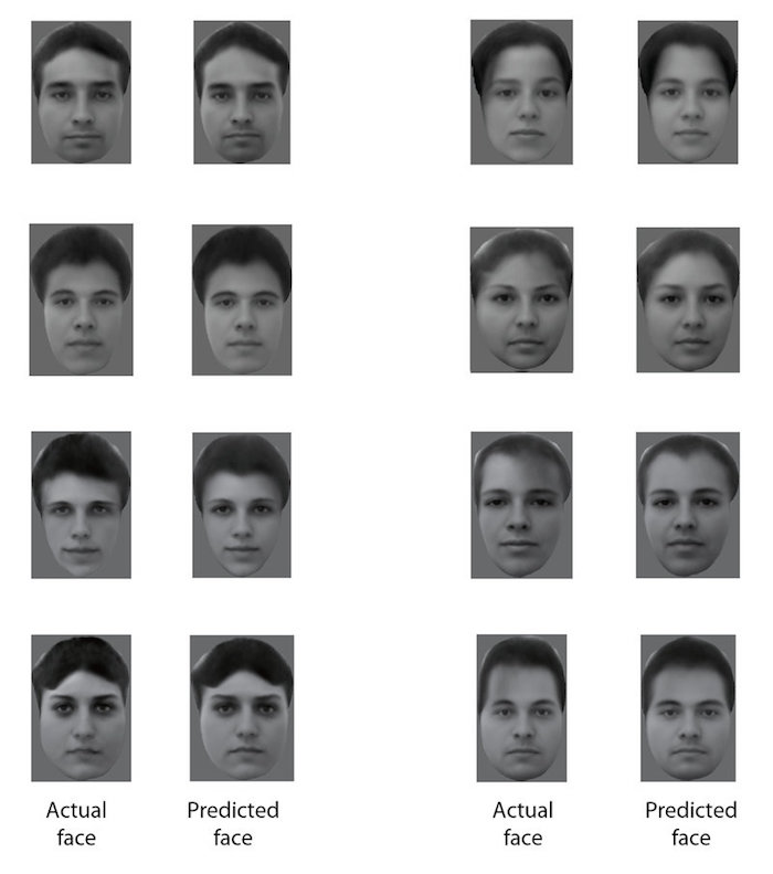 faces-1_custom-e03780e8a0072b2a2ee005fbe44fa1b322cb6cbd-s800-c85