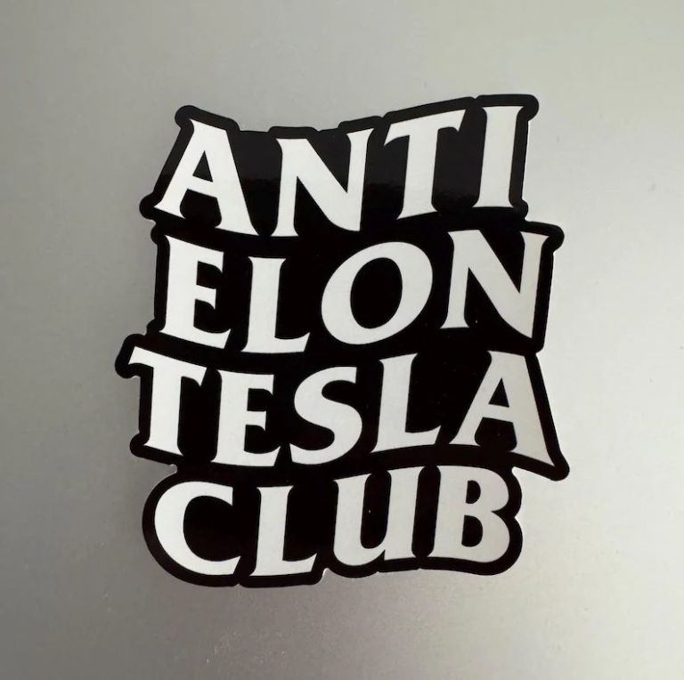 2 Adesivi Anti-Elon Musk Per Tesla - Sticker 15x15 Cm Per Paraurti E Finestrini - Foto 12